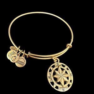 ALEX ANI Charm Bangle Bracelet Openwork Compass Rose Gold Tone Expandable Wire
